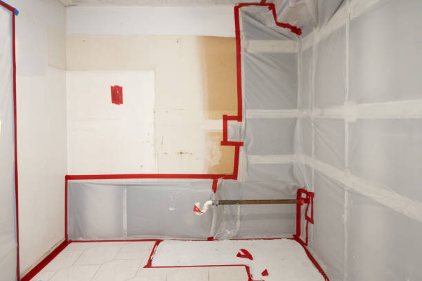 Best Mold Odor Removal Services  in Miles City, MT
