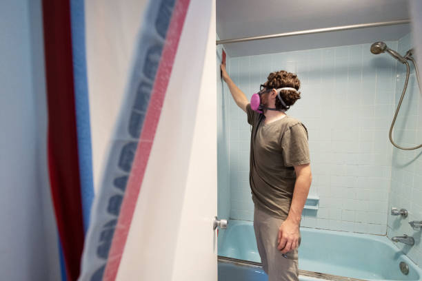 Best Mold Removal for HVAC Installations  in Miles City, MT