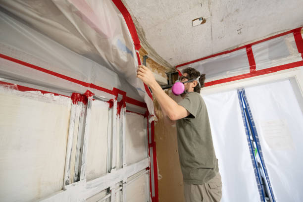 Best Mold Damage Restoration  in Miles City, MT