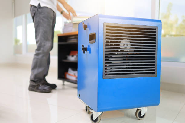 Best Mold Prevention Services  in Miles City, MT