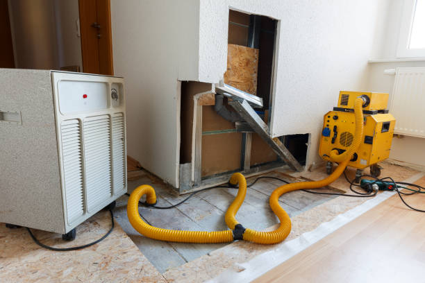 Best Mold Documentation for Insurance Claims  in Miles City, MT