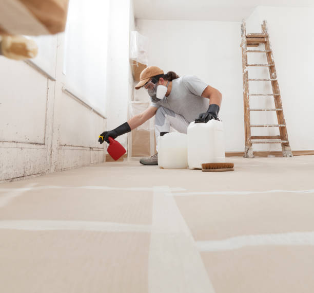 Best Emergency Mold Remediation  in Miles City, MT